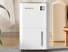 试图将商用级此外不变性和效率传送给费者